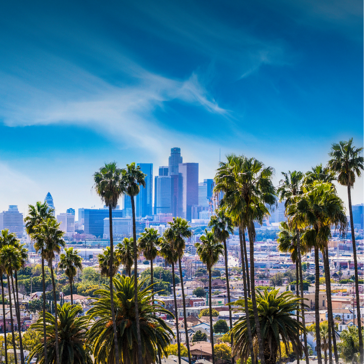 A clear daytime view of downtown Los Angeles with tall palm trees in the foreground, modern skyscrapers in the background, and bright blue skies—representing the city and surrounding areas served by temp staffing and consulting experts in El Segundo.